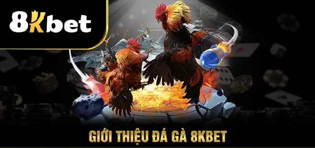 Đá gà 8Kbet uy tín, bảo mật cao