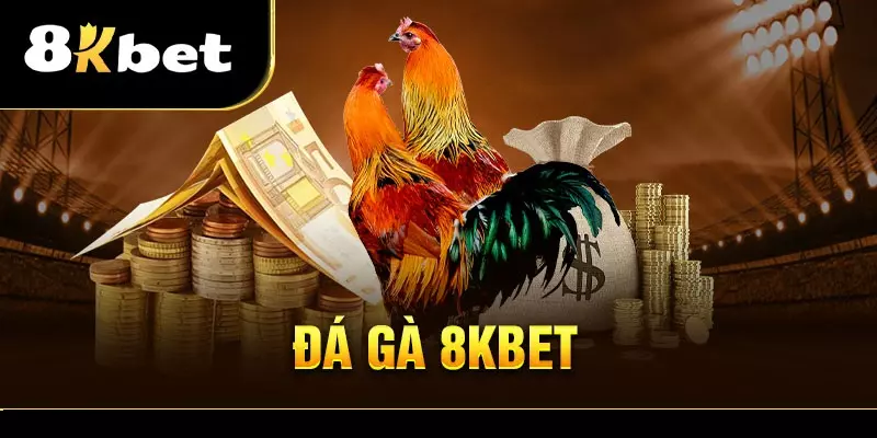 Đá gà 8Kbet và một số thông tin mà bạn cần biết