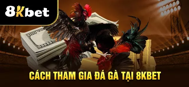 Hướng dẫn chơi đá gà tại 8Kbet