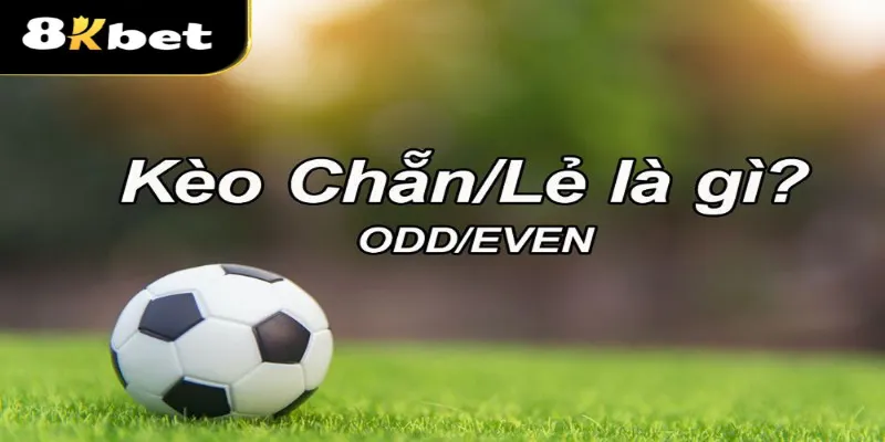 Kèo Chẵn Lẻ là gì? Các loại kèo phổ biến và mẹo thắng lớn