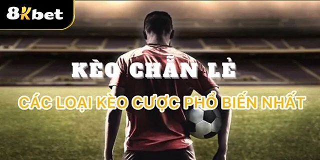 Tổng hợp các loại Kèo Chẵn Lẻ được các tay chơi yêu thích nhất hiện nay