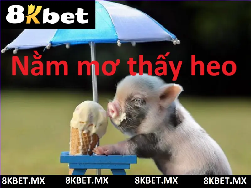 Nằm mơ thấy heo - Điềm báo gì hiển linh sau giấc mơ về con heo chi tiết
