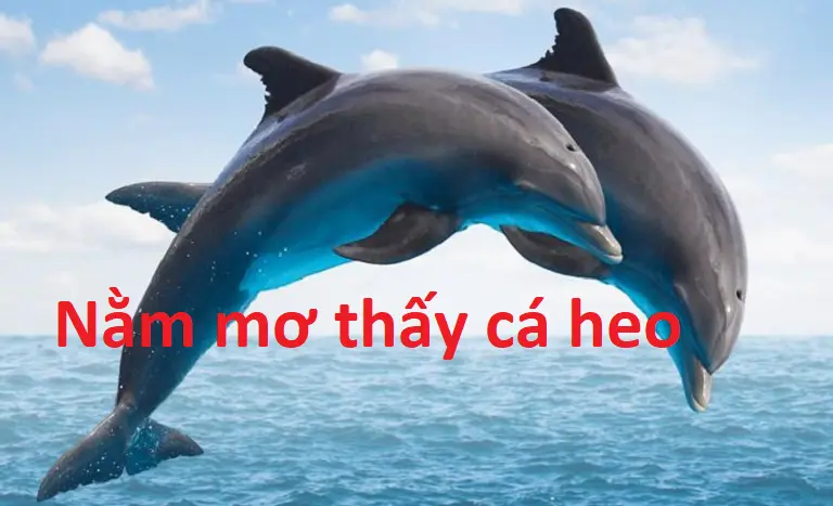 Ý nghĩa giấc mơ thấy nhiều loại cá 