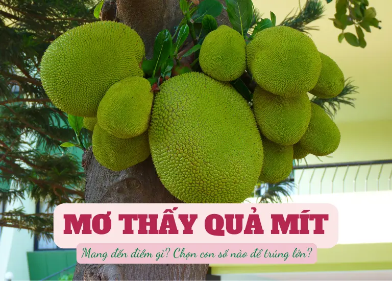 Mơ thấy quả mít mang lại điềm báo gì? Con số bí ẩn nào liên quan?