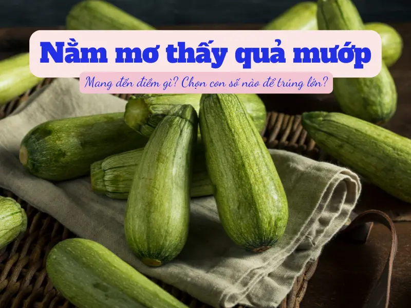 mơ thấy quả mướp