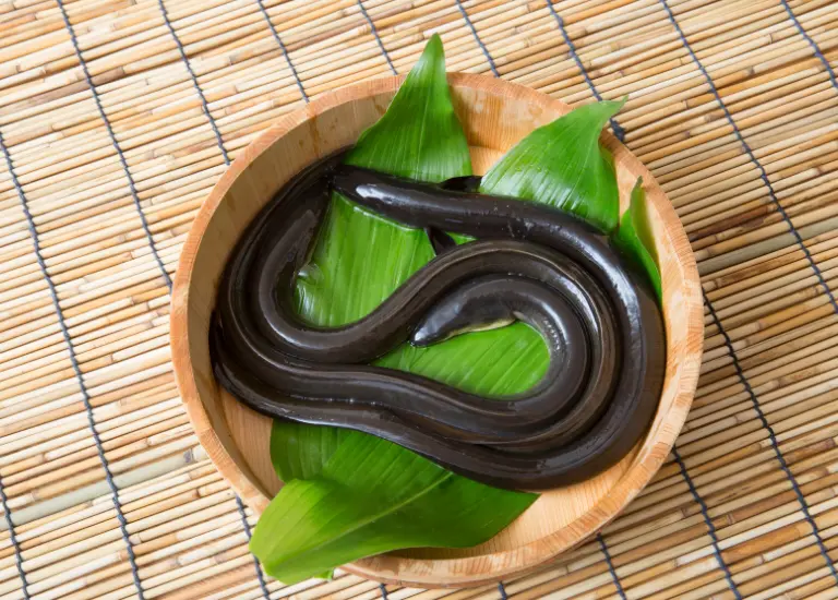 Mơ thấy lươn màu vàng