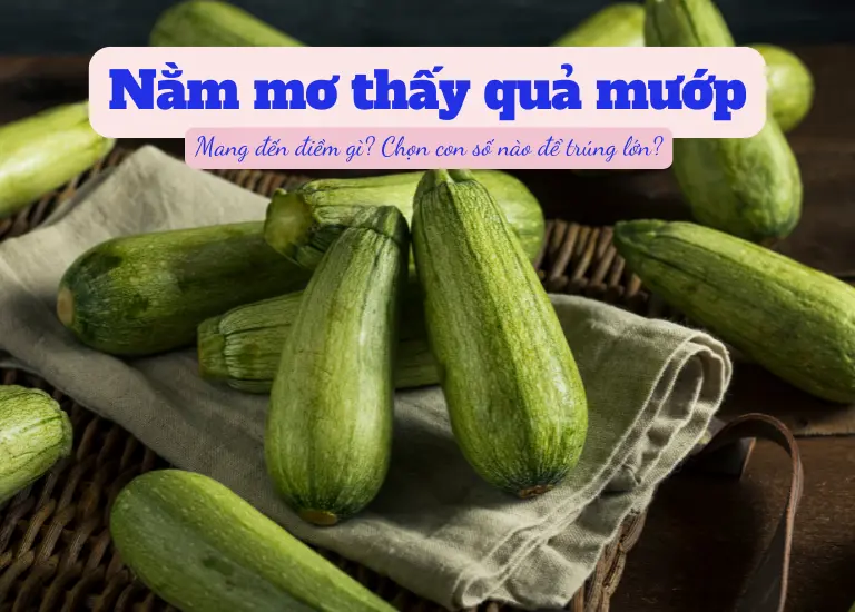 Mơ thấy quả mướp là điềm lành hay phú quý Con số nào trúng lớn?