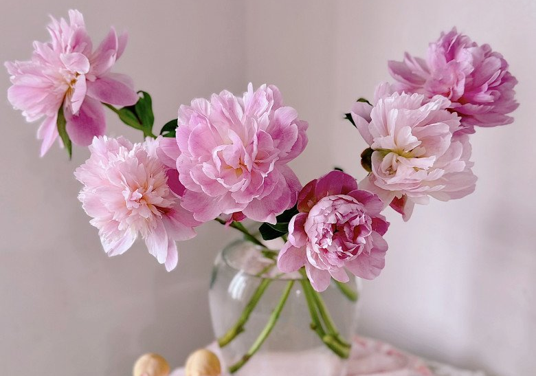 Một vài giấc mơ thấy hoa giả khác